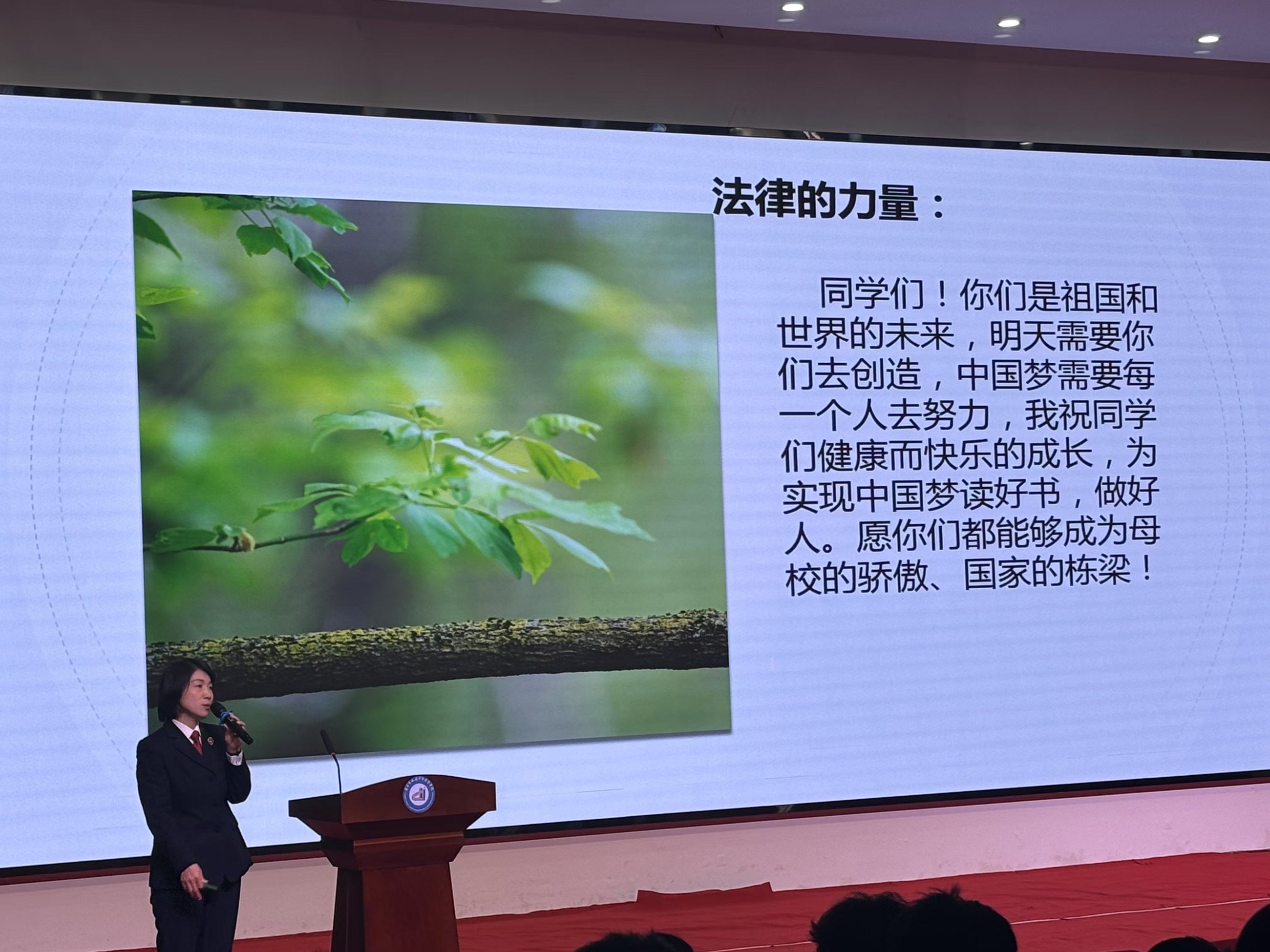 图片关键词